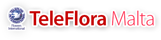 TeleFlora - Loading